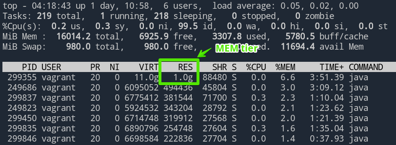 Alluxio MEM caching tier