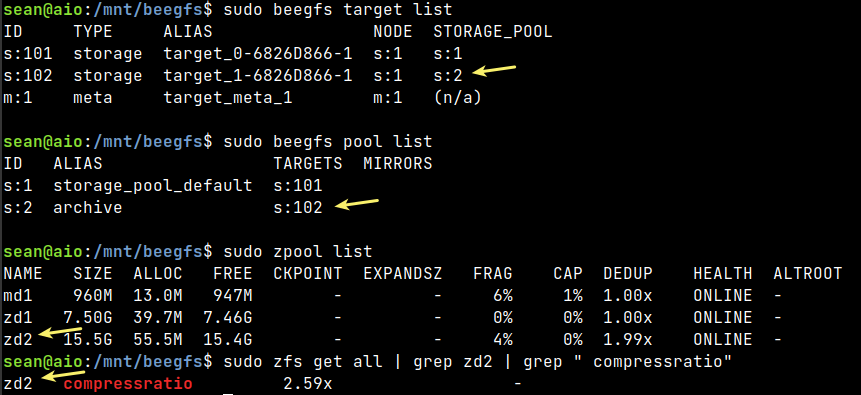 BeeGFS and E-Series Pools
