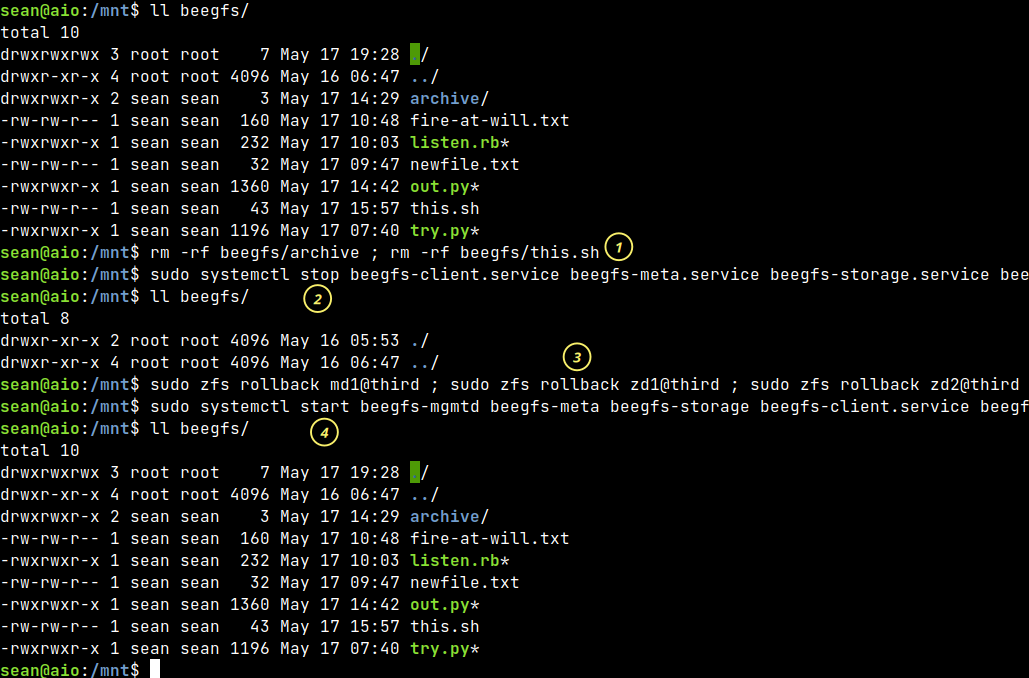 BeeGFS with ZFS snapshots