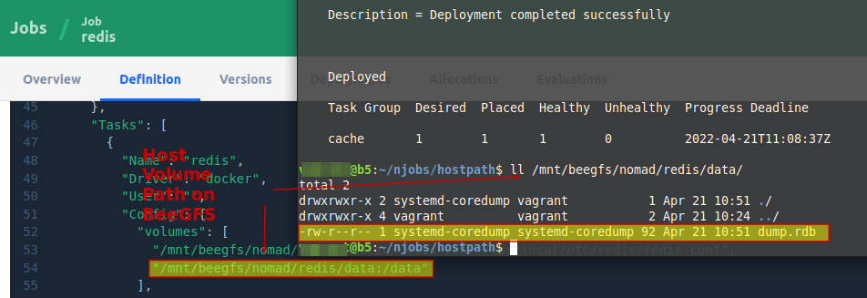 BeeGFS Worker with Host Volume in use