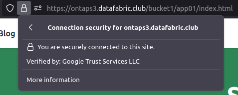 Cloudflare DNS with Web Proxy