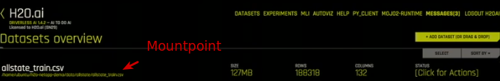 View NFS based dataset