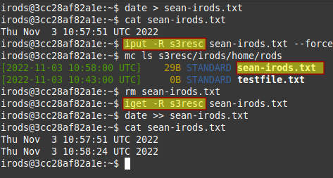 iRODS with S3