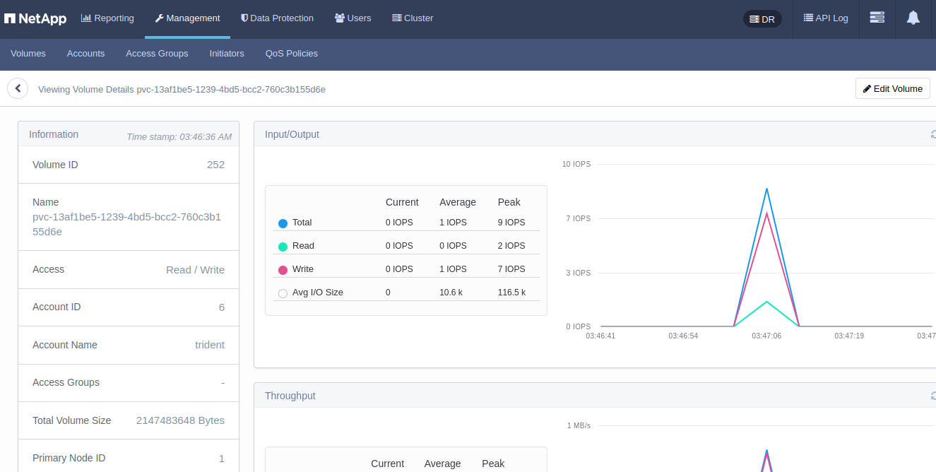 Activity during formatting