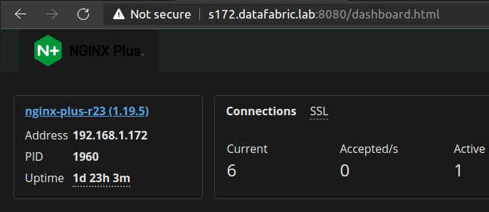 Internal API endpoint exposed via HTTP behind NGINX Plus