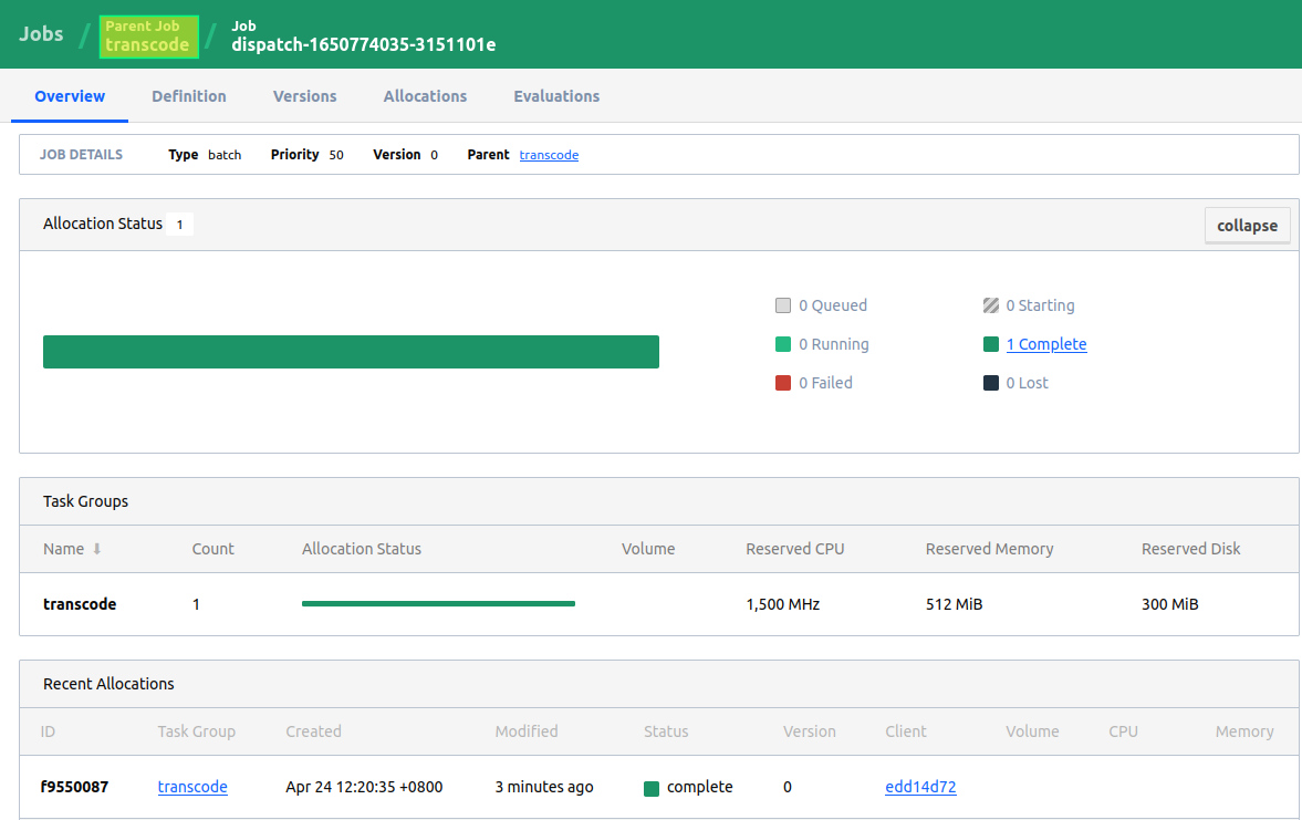 Parametric task group on Nomad with BeeGFS