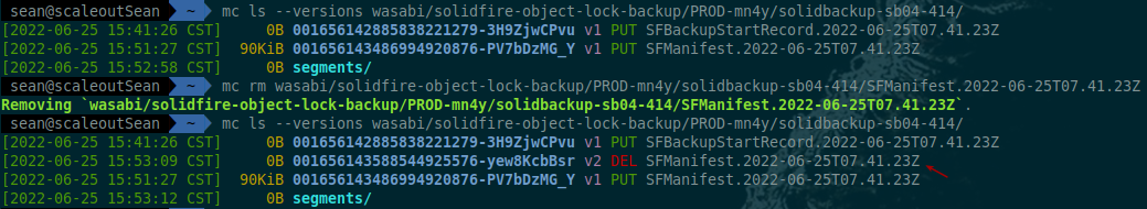 Delete object with Object Lock