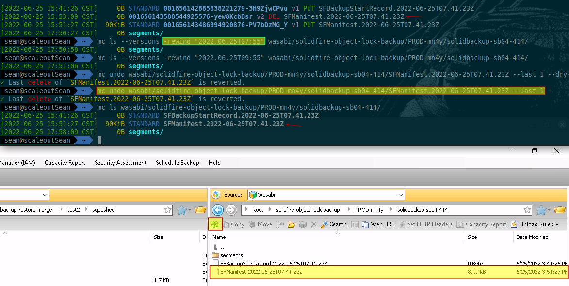 View older object version after versioning un-do