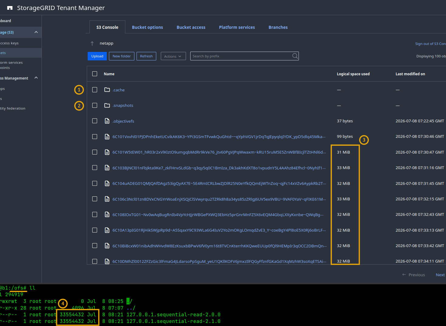ObjectiveFS vs StorageGRID bucket