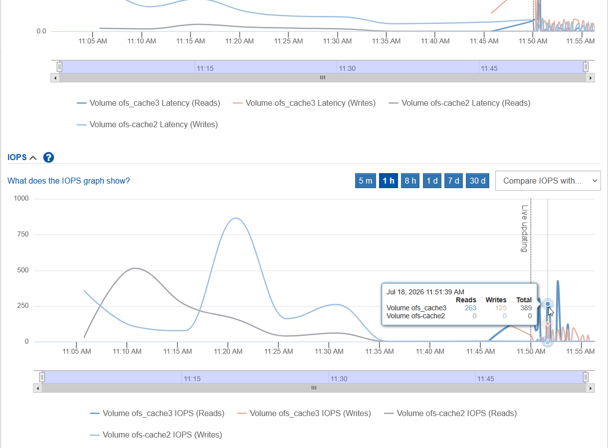 Disk cache per client