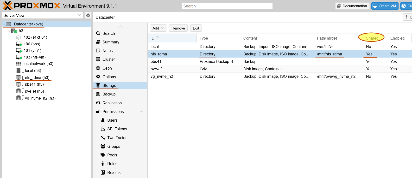 NFS/RDMA as shared directory