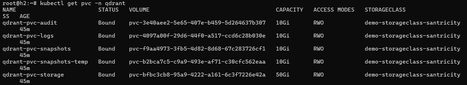 Qdrant PVCs