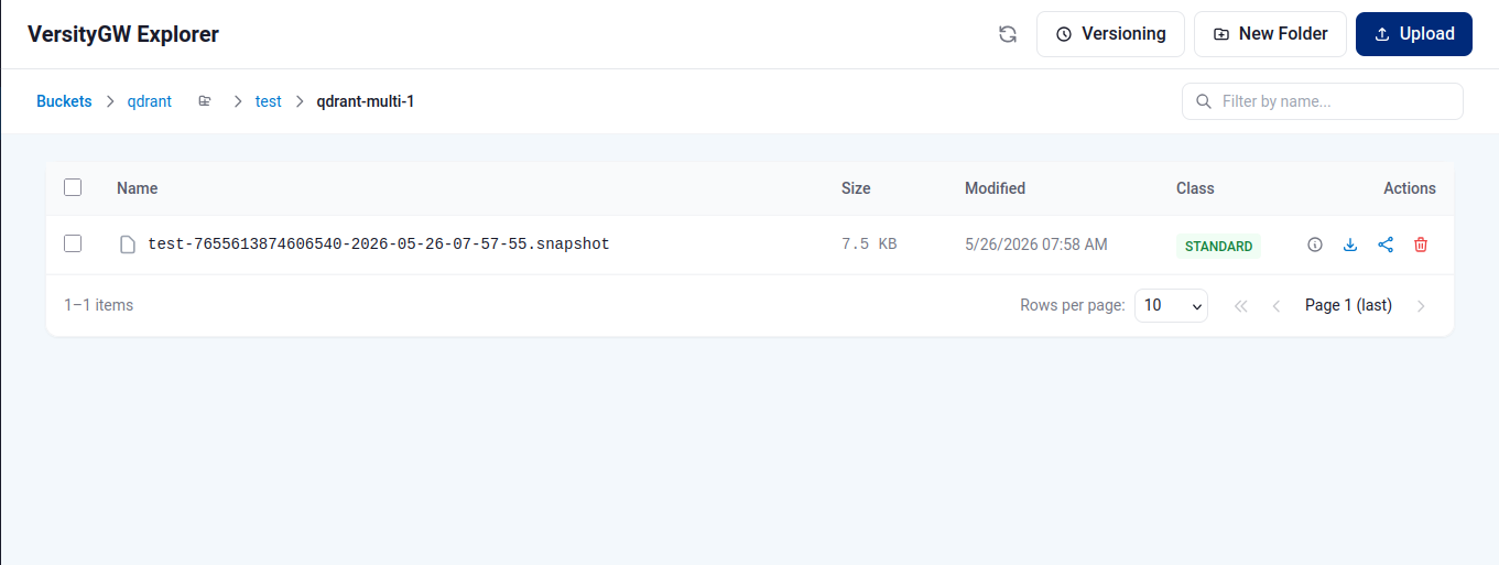 Qdrant backup node snapshot detail