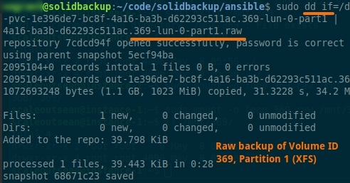 Step three - raw device backup