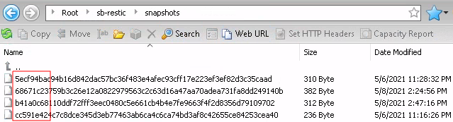 solidbackup - view snapshots
