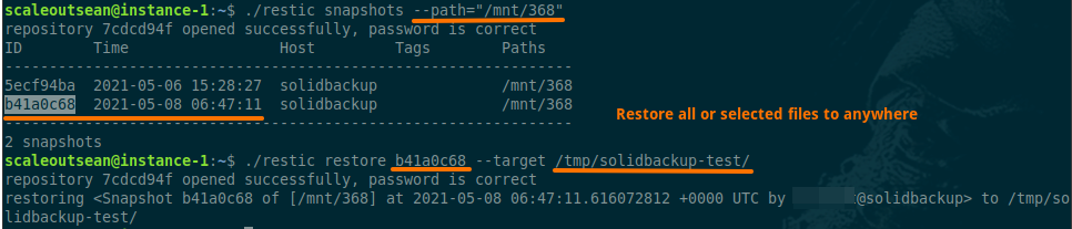 solidbackup - view snapshots