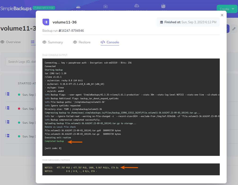 Backup job console log