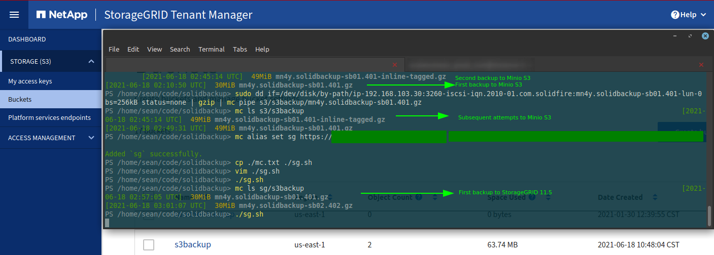SolidBackup with Minio client and StorageGRID 11.5