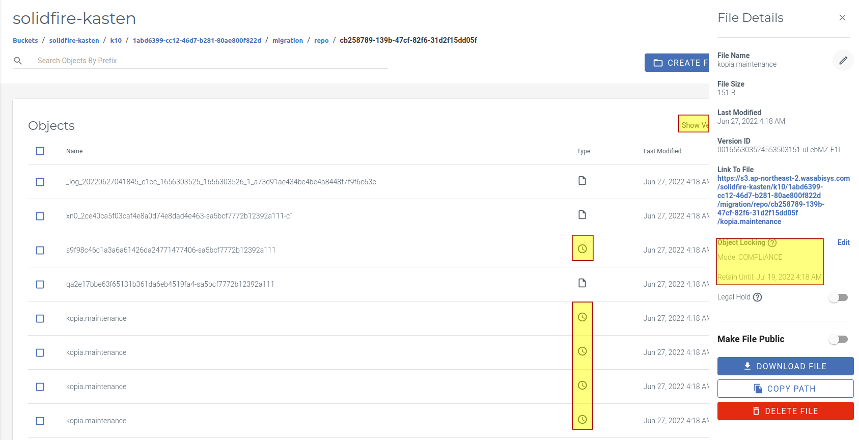 Show Versions in Wasabi Web UI