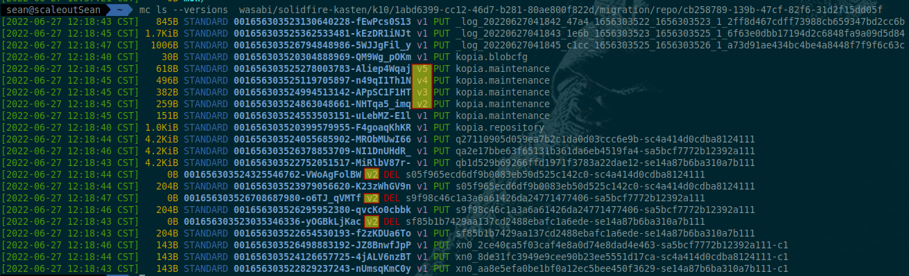 Show object versions with generic S3 CLI or API