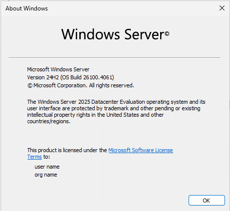 Windows Server 2025 build 26100.4061