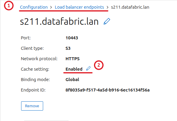 Enable cache on StorageGRID Gateway