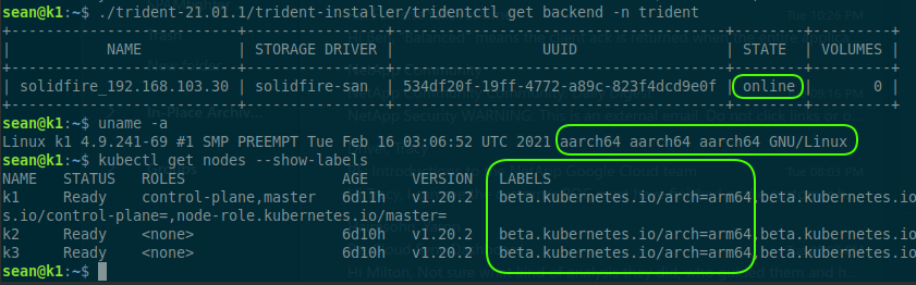 Trident v21.01 on Linux/ARM64 with a SolidFire iSCSI back-end