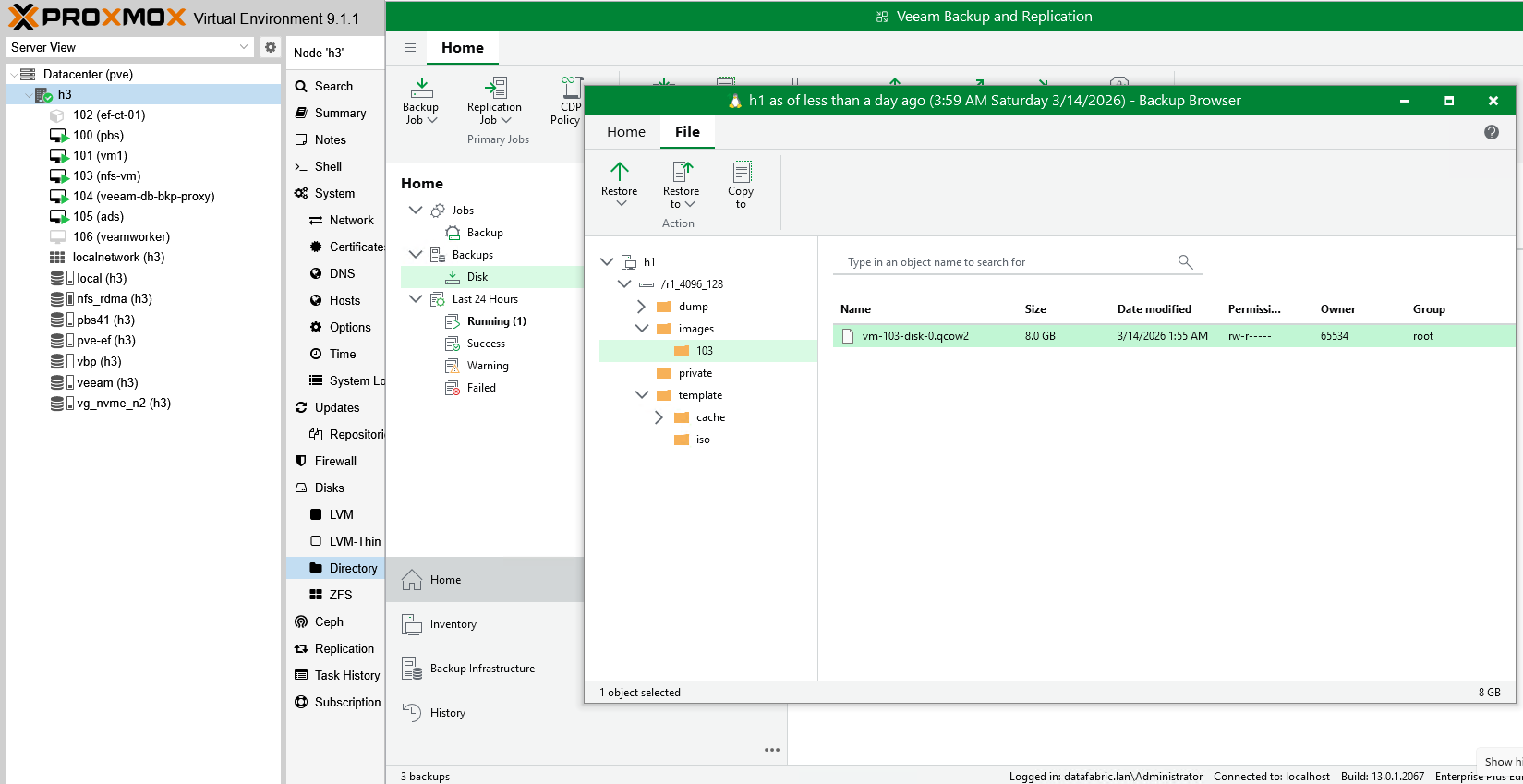 File level restore select