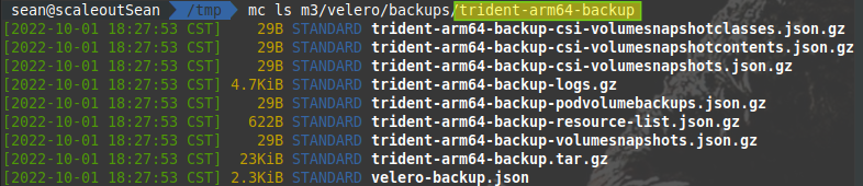 Velero (Restic) backup to S3