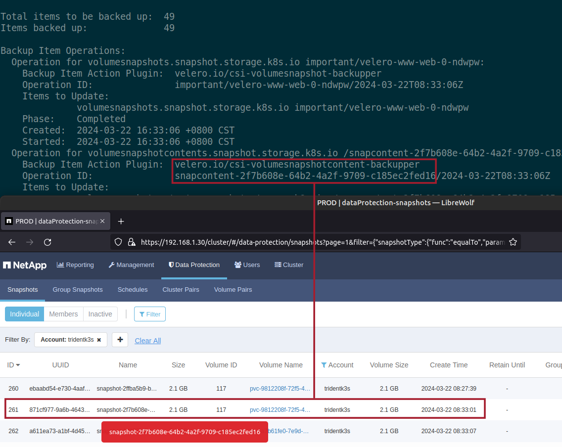 Backup details in Velero v1.13