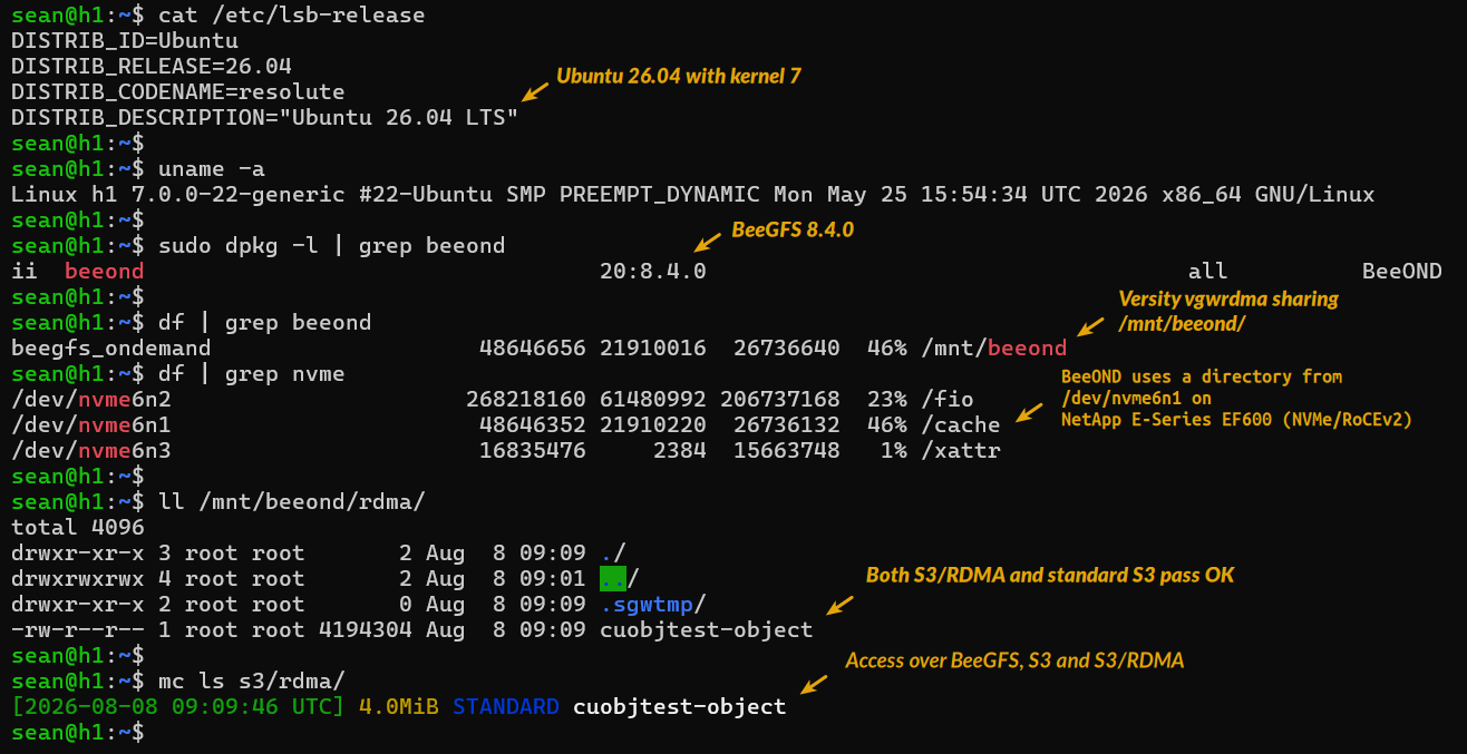 vgwrdma on BeeOND with NVMe/RoCE