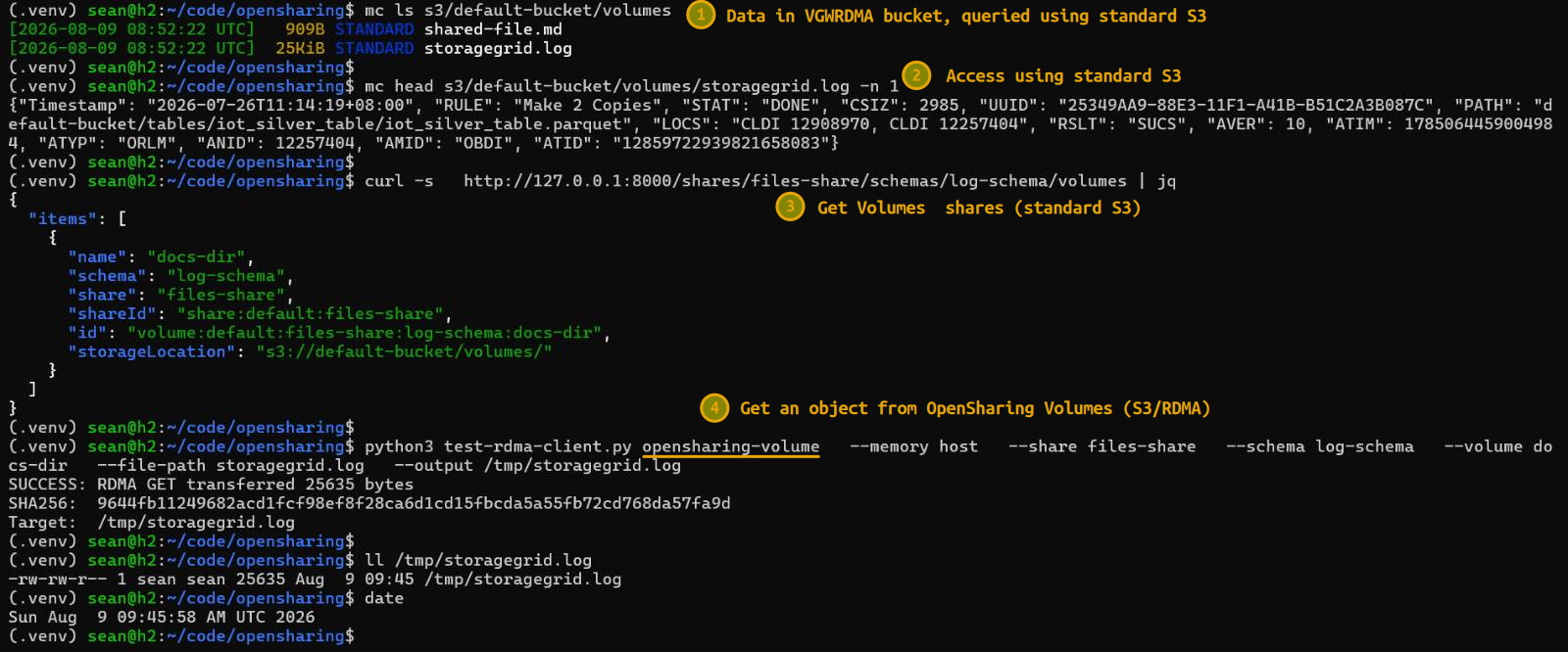 OpenSharing Volumes with VGWRDMA